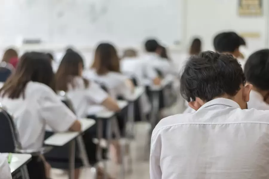 "Nuestros ni�os y adolescentes se rodean de adultos que tienen conductas violentas, y naturalizamos esas maneras de comunicarnos" (C. Gannam)