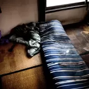 El "Kodokushi" o muerte solitaria asola los hogares de Jap�n