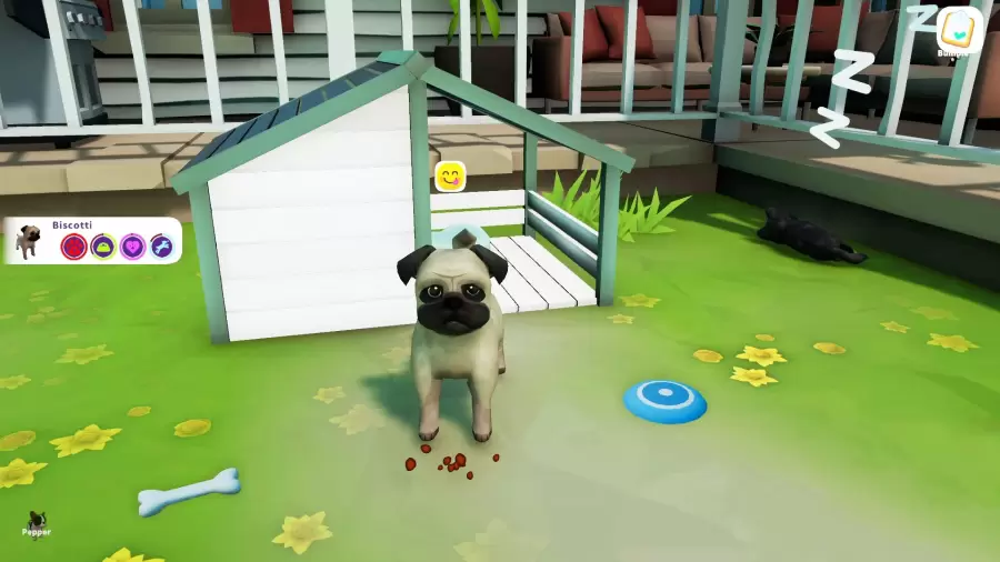 Cute Puppy Academy