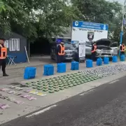 Operativo en el norte: decomisaron 300 kilos de hojas de coca tras una persecuci�n