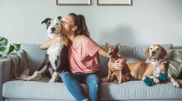Las mascotas pueden sufrir todo tipo de accidentes y por ello es aconsejable contar con conocimientos para ayudarlos ante emergencias.