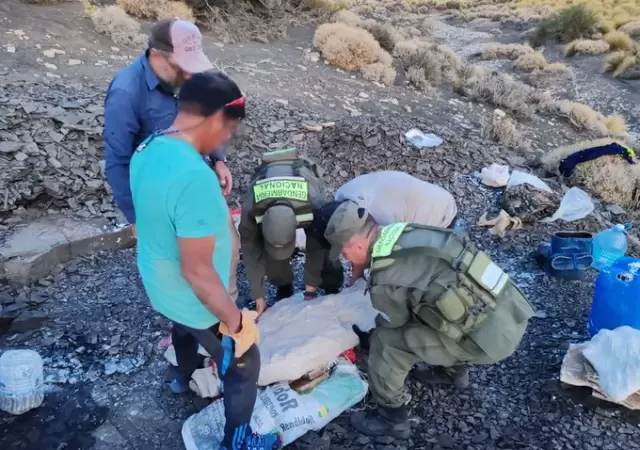 Hallan los restos f�siles de un ictiosaurio.