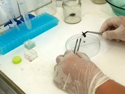 La enfermedad de Chagas a menudo se describe como una "enfermedad silenciosa y silenciada", ya que la mayor�a de las personas infectadas no presentan