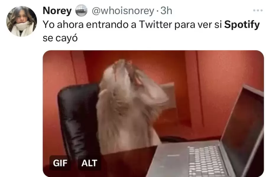 Meme