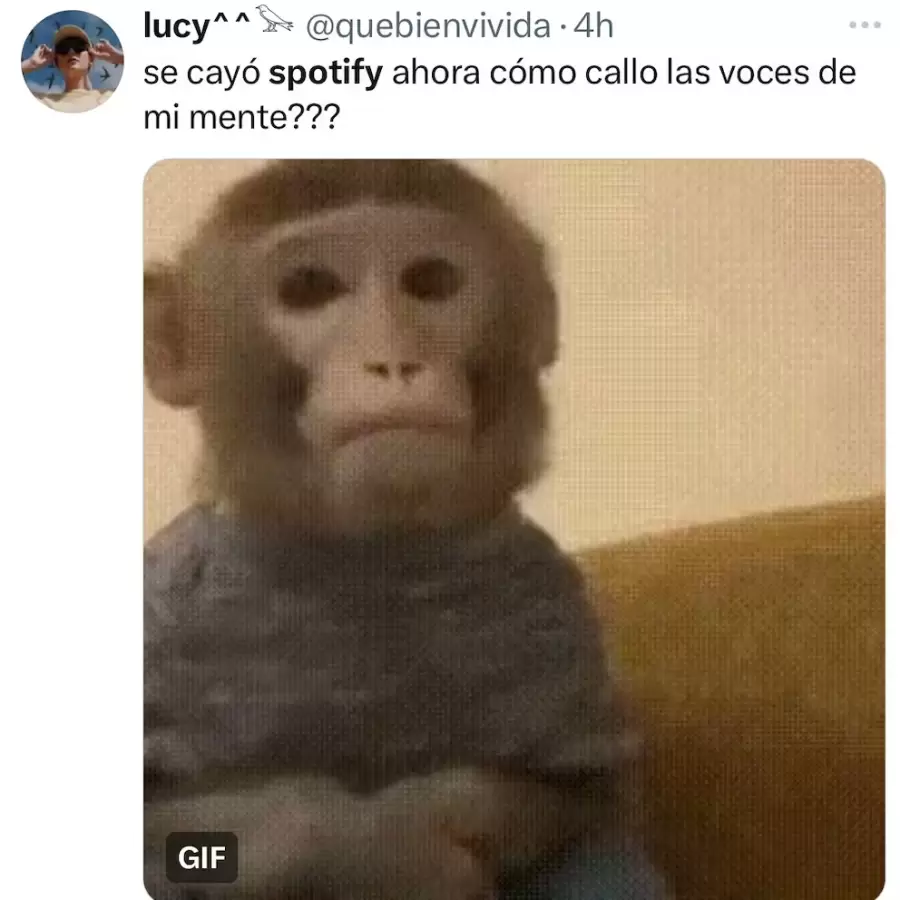 meme 2