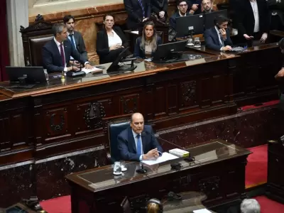 El  jefe de Gabinete en Diputados      /