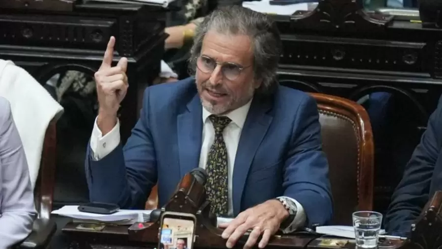 Diputado Benegas Lynch