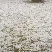 Videos del granizo en Buenos Aires: calles blancas y vecinos sorprendidos