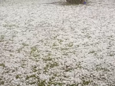 Videos del granizo en Buenos Aires: calles blancas y vecinos sorprendidos