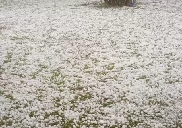 Videos del granizo en Buenos Aires: calles blancas y vecinos sorprendidos