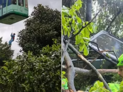Un pintoresco y tur�stico recorrido se transform� en un escenario de ca�da libre hacia la muerte.