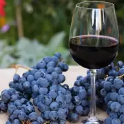 C�mo impactan en exportaciones de malbec los aranceles de Trump