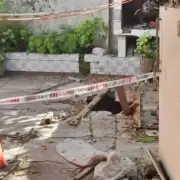 Una mujer murió en el patio de su casa tras sufrir un accidente increíble