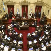 Semana clave para aprobar en el Senado la ley de Ficha Limpia
