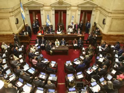Sesi�n clave del Senado.