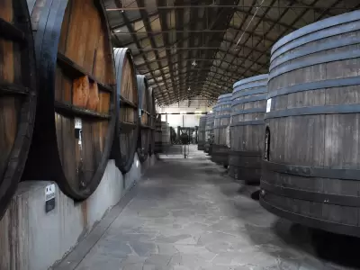 El atractivo de las bodegas.