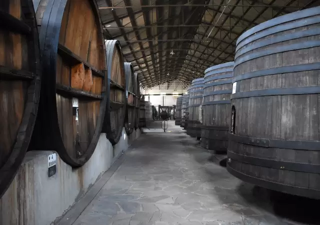 El atractivo de las bodegas.