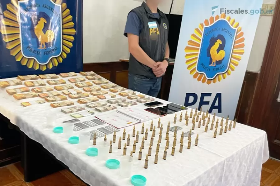 Una investigaci�n de la fiscal federal Josefina Minatta y de la PROCUNAR.