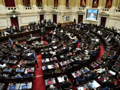 C�mara de Diputado