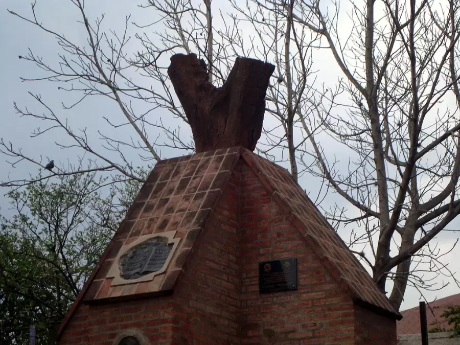 Finca y Nogal Hist�rico de Sald�n