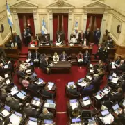 El Senado tratar� dentro de dos semanas el proyecto de Ficha Limpia aprobado en Diputados