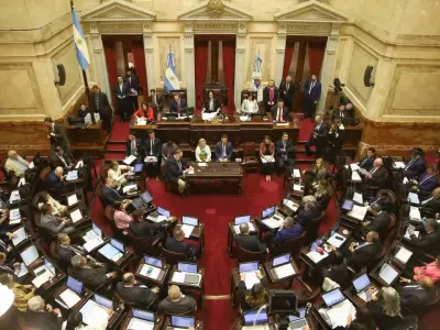 El Senado Nacional en actividad. /