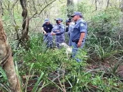La oscura trama detr�s de la muerte de la nena hallada enterrada en Formosa