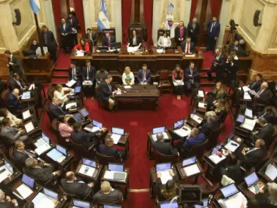 El Senado homenaje� al papa Francisco destacando su figura global.