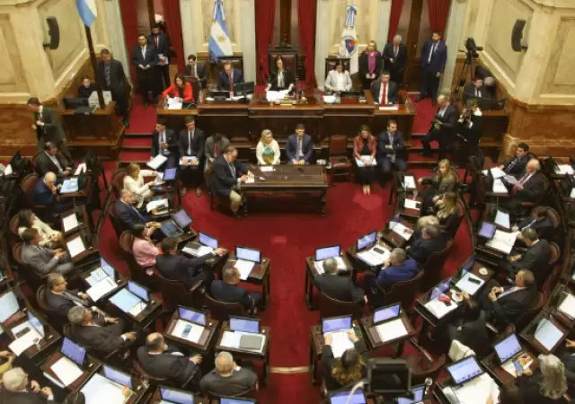 El Senado homenaje� al papa Francisco destacando su figura global.