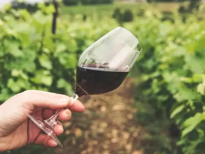 Los lotes disponibles incluyen vinos de alta gama.