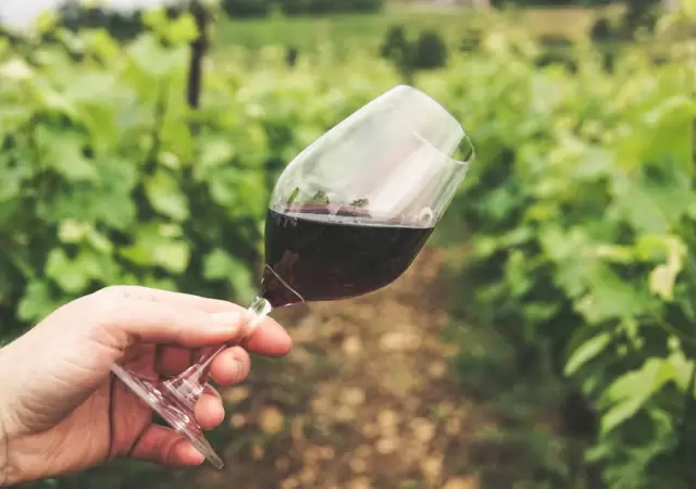 Los lotes disponibles incluyen vinos de alta gama.