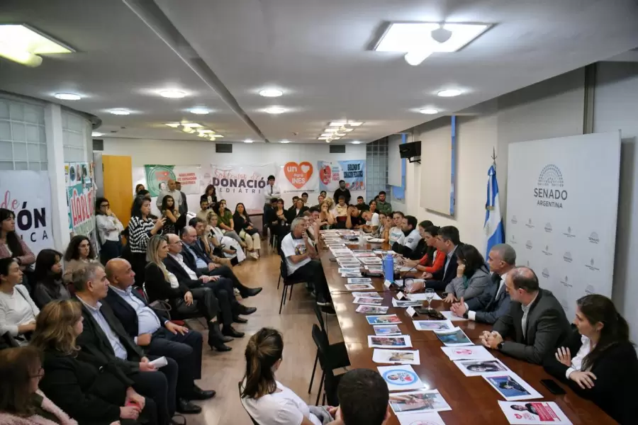 Elecciones 2025: Eleg� Donar