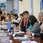 Casi 200 niños esperan trasplantes: la campaña que busca salvar vidas