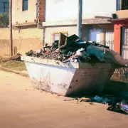 Los millones de habitantes que vivieron en zonas inundables y cercanas a basurales