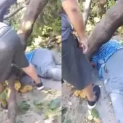 Conmoci�n en San Martin: muri� aplastado por un viejo �rbol