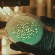 Alerta sanitaria: brote de fiebre tifoidea en el conurbano bonaerense