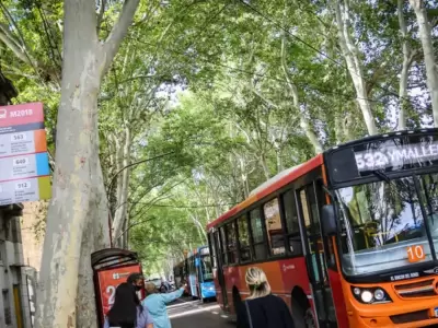 Transporte en Mendoza: el pasaje no bajar� pese a la reducci�n de la nafta