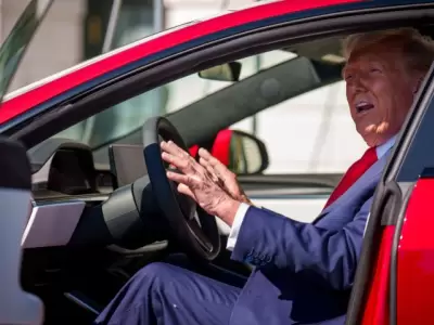 Trump apuesta a una pol�tica de seducci�n de las automotrices para que se instalen en su pa�s.