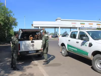 Crueldad animal: Gendarmer�a rescat� a 21 perros y dos gallos