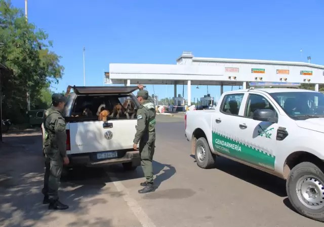 Crueldad animal: Gendarmer�a rescat� a 21 perros y dos gallos