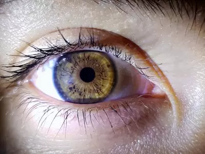 La existencia de Olo redefine lo que entendemos por ver y por color.