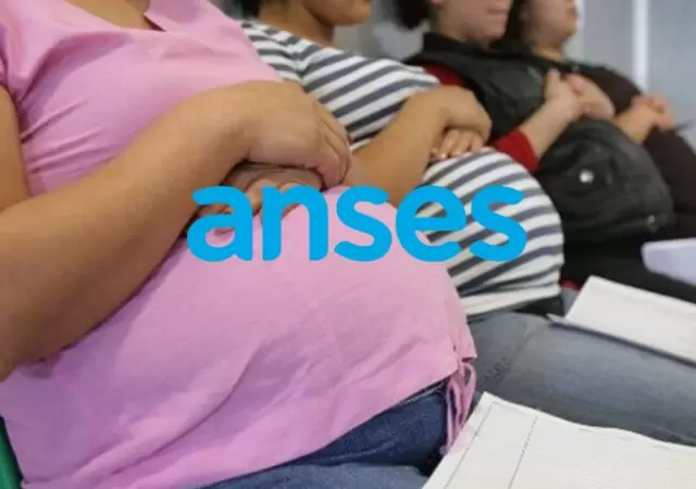 El lunes 11 de agosto inicia el cronograma para la asignaci�n por embarazo.