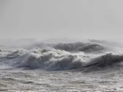 Tsunami.