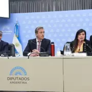 Diputados libertarios y del PRO buscan apurar la ley para juzgar desde los 14 a�os