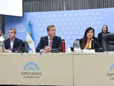 Diputados libertarios y del PRO buscan apurar la ley para juzgar desde los 14 a�os