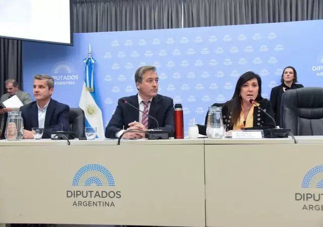 Diputados libertarios y del PRO buscan apurar la ley para juzgar desde los 14 a�os