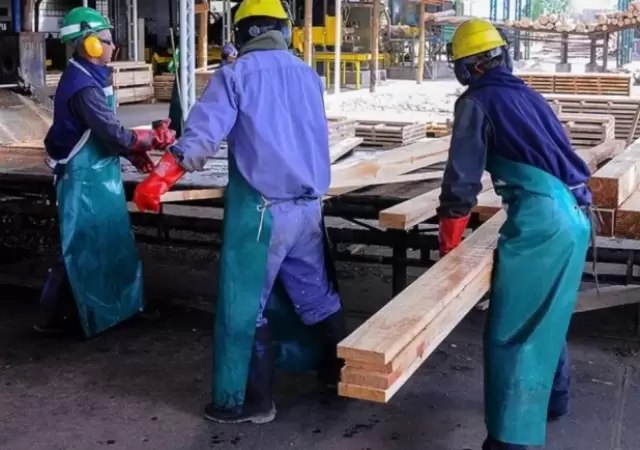 La reforma laboral requiere un cambio sustancial en lo impositivo, previsional y sindical.