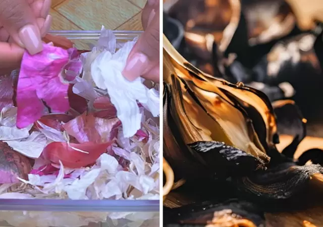 La quema de c�scaras de ajo, es recomendable los viernes.