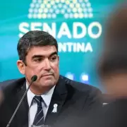Pol�mica: un senador se fue de vacaciones en plena votaci�n de Ficha Limpia