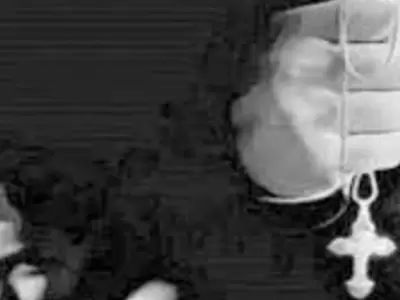 Una conocida organizaci�n de investigaci�n y exposici�n de abusos eclesi�sticos apunt� contra el desempe�o del papa en hechos ligados a su pasado.
